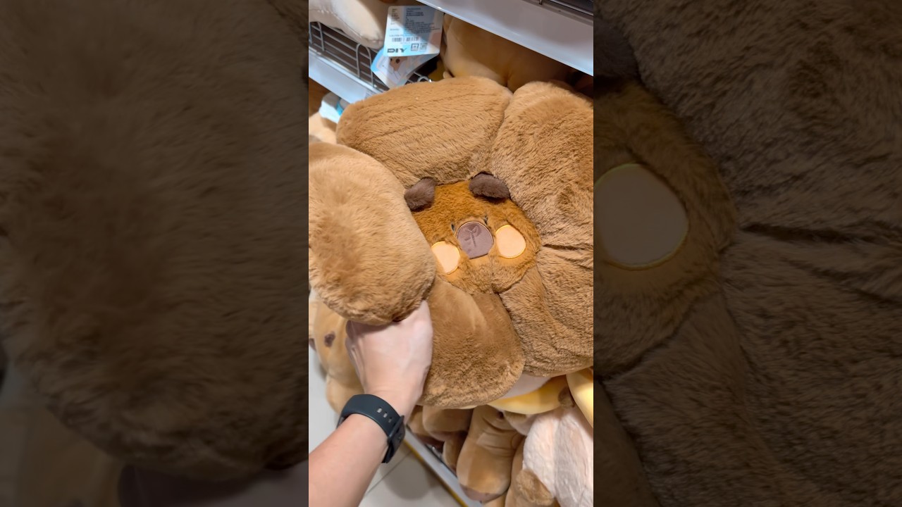 CapybaraWorld😍😍😍#accessories #toys #gift #cute #animals #buddy #pets #capivara #kapibara 🦫🦫🦫
