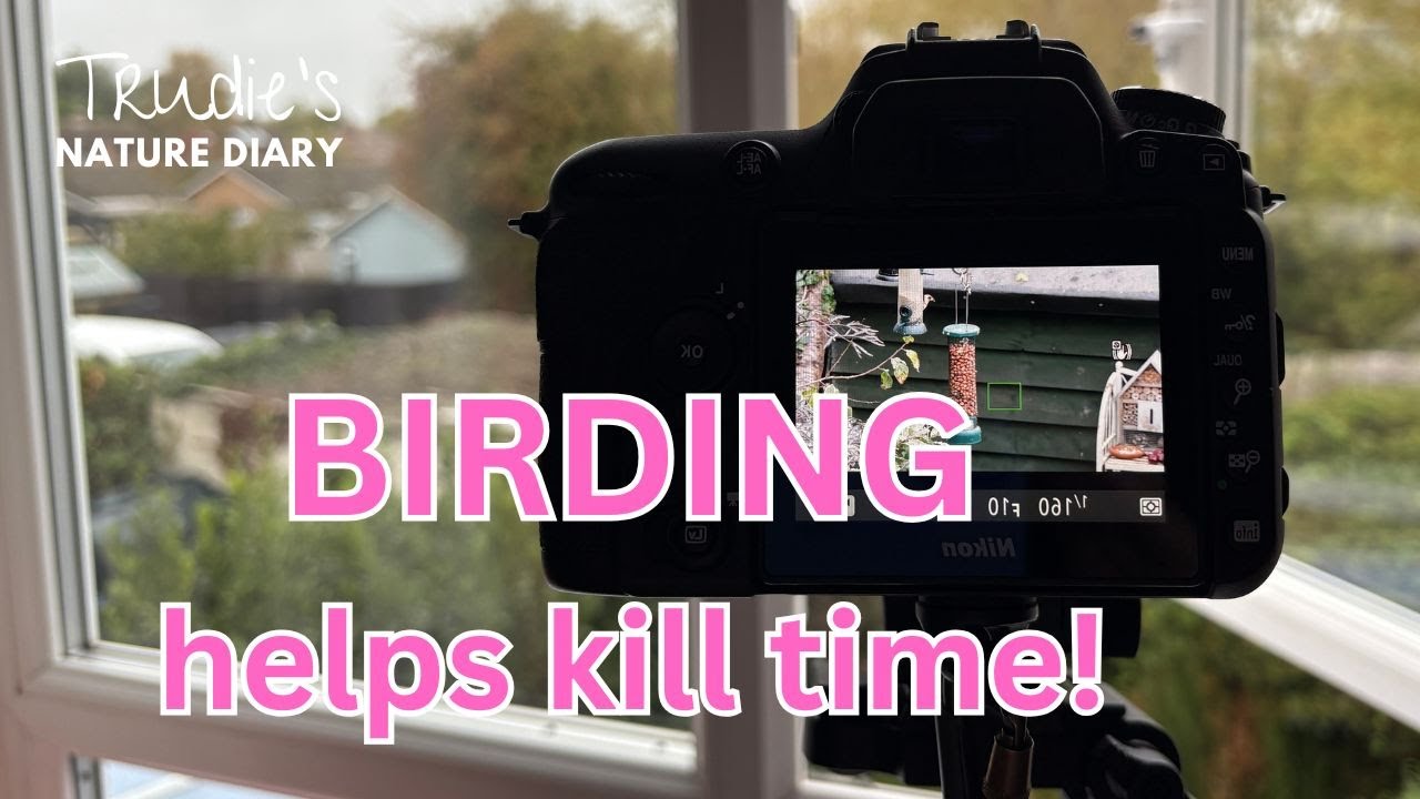 Birding To Kill Time | Garden Birds | Nature Diary