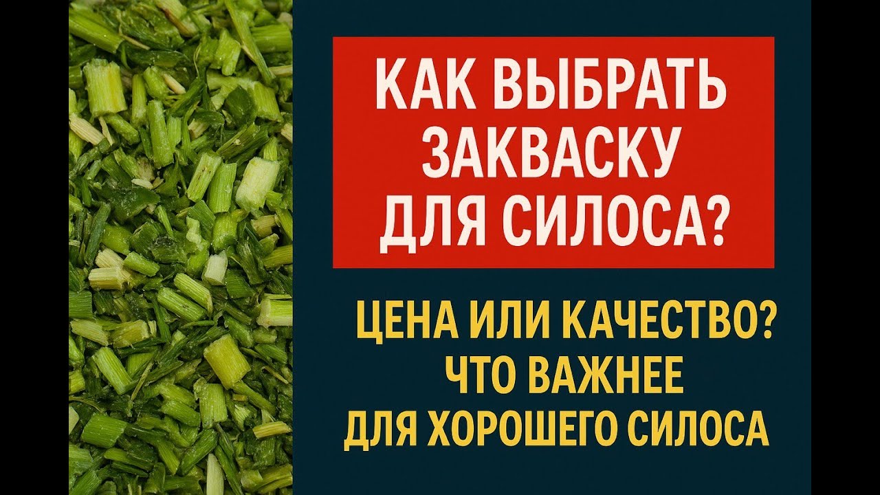 Силосование: как при выборе закваски правильно балансировать между ценой и качеством