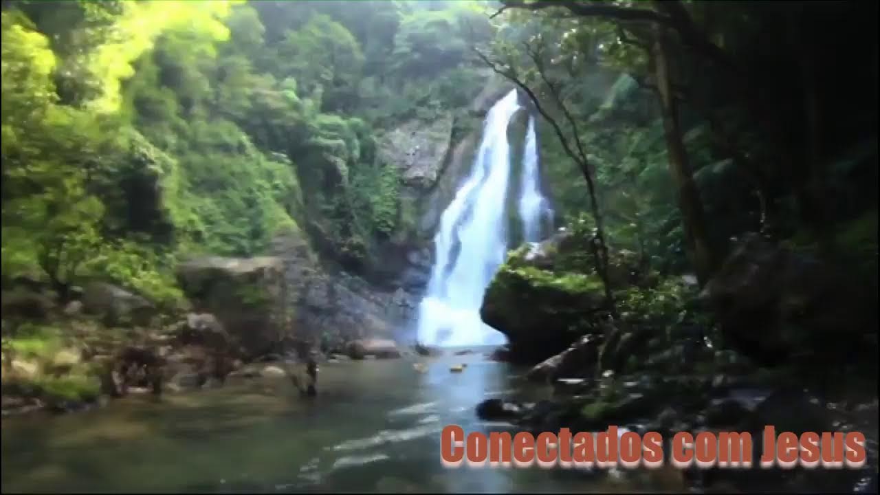 Conectados com Jesus by Elcione Damasceno e Convidados 14 03 2026