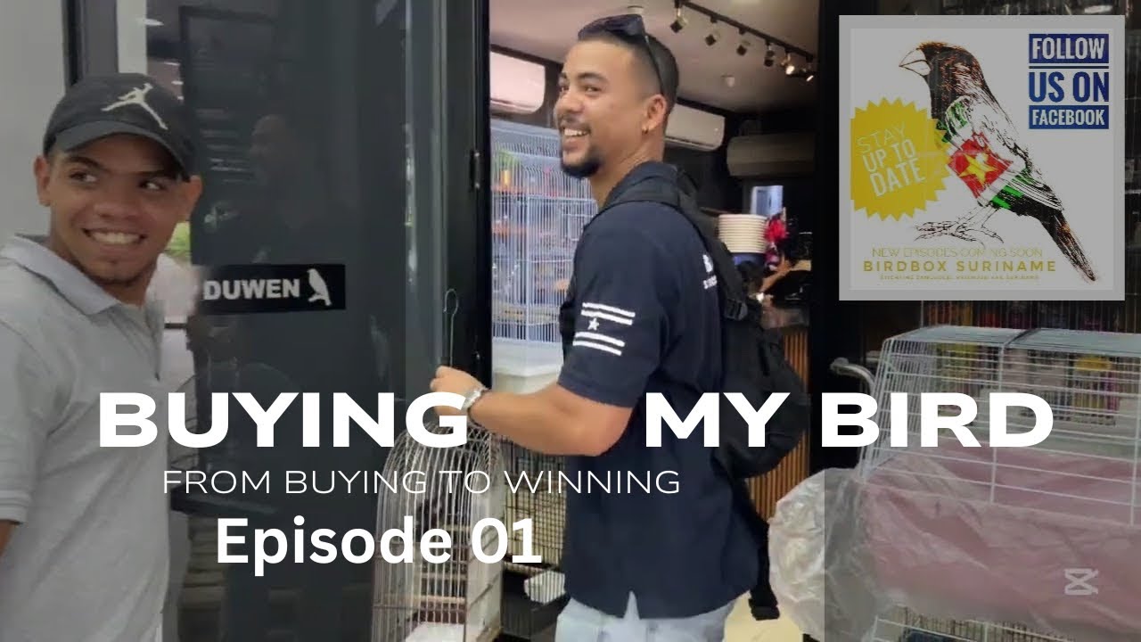 “Picolet Kopen” First step to winning a competition | Weekend Vlog (E01)
