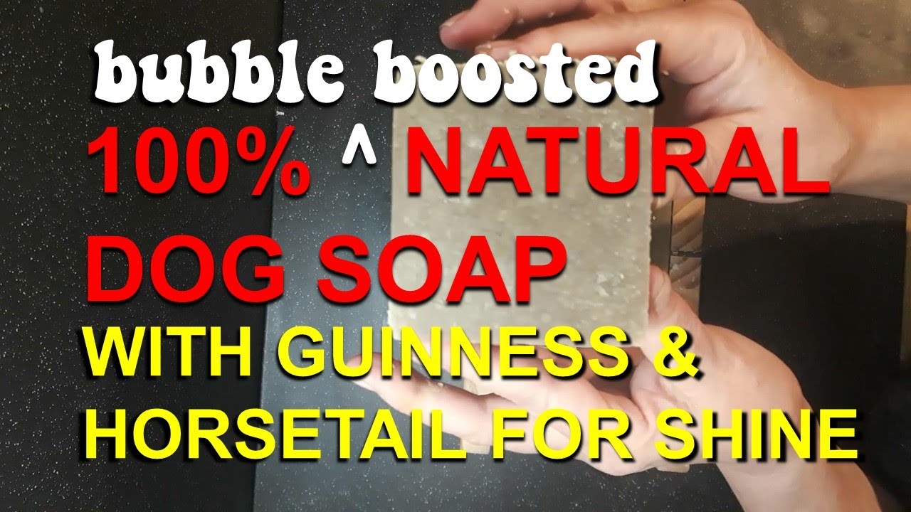 Dog Soap - How To Make 100% Natural Dog Soap For Your Best Friend - Soap Making Video