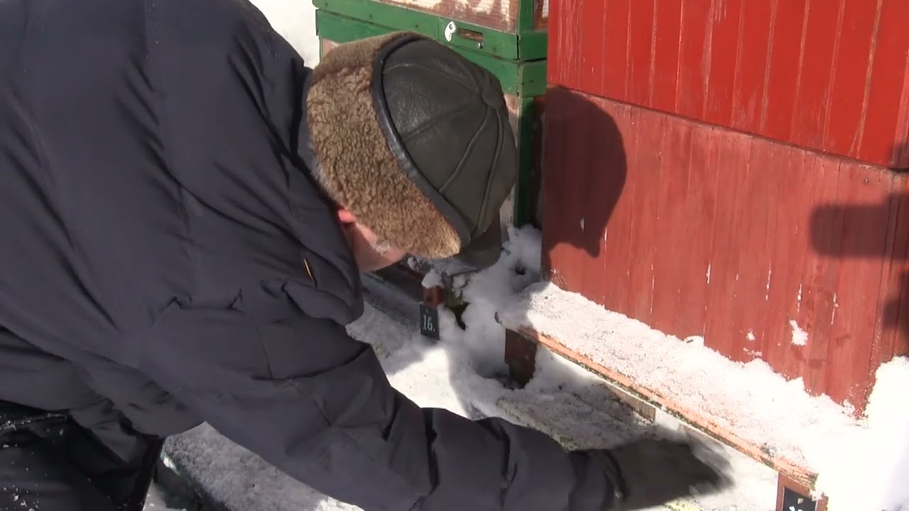 Zima jak má být