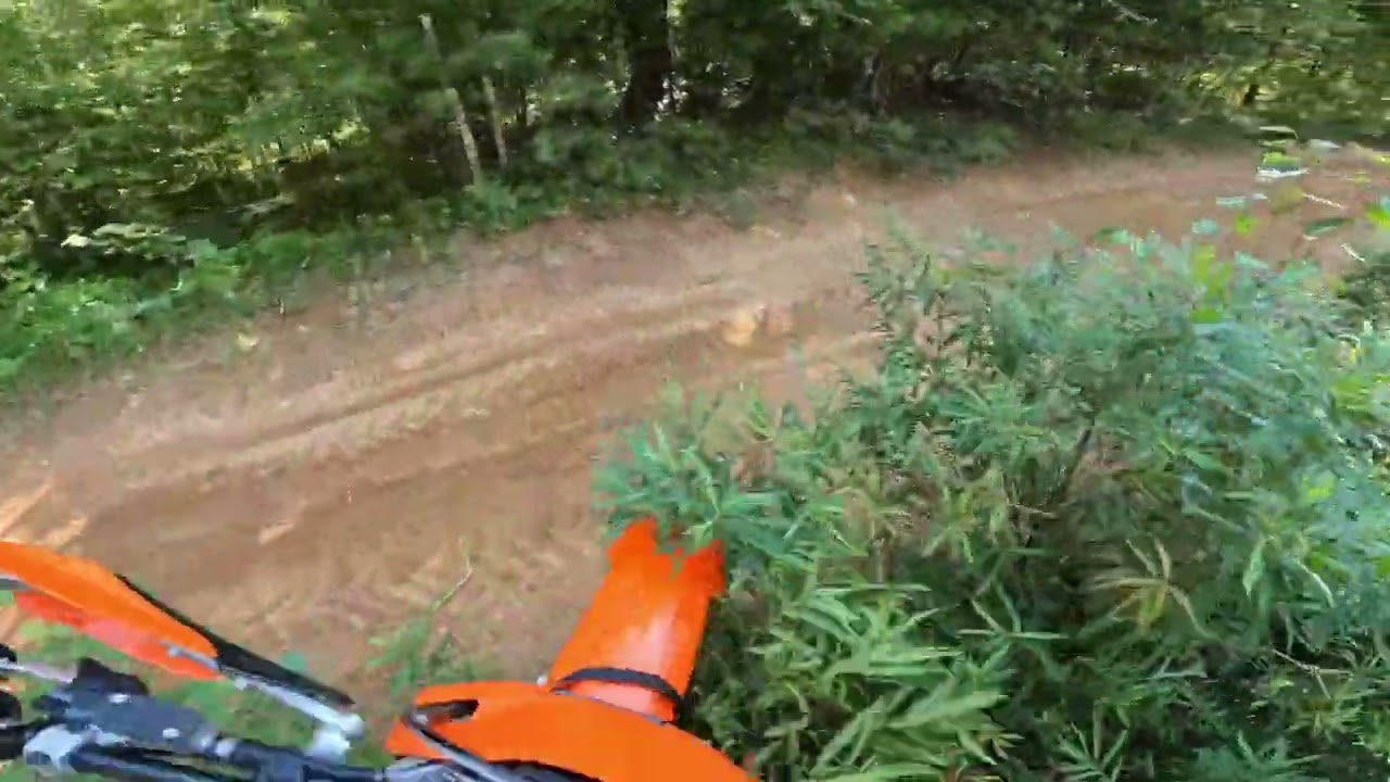Single Track therapy motivation with Tyson Fury
