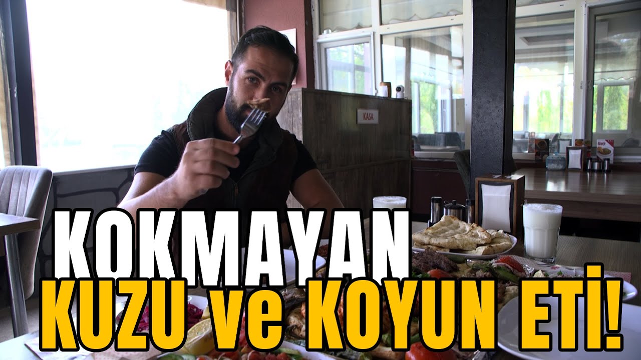 Kokmayan KOYUN ve KUZU ETİ!