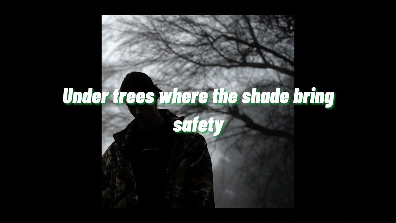 Bones–TheHealingFields/ lyric video