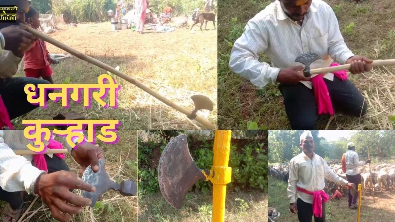 धनगरी कुऱ्हाड || धनगरी कुऱ्हाडीचे बारकावे व कुऱ्हाडीला दांडा बसवताना || dhangari kurhad