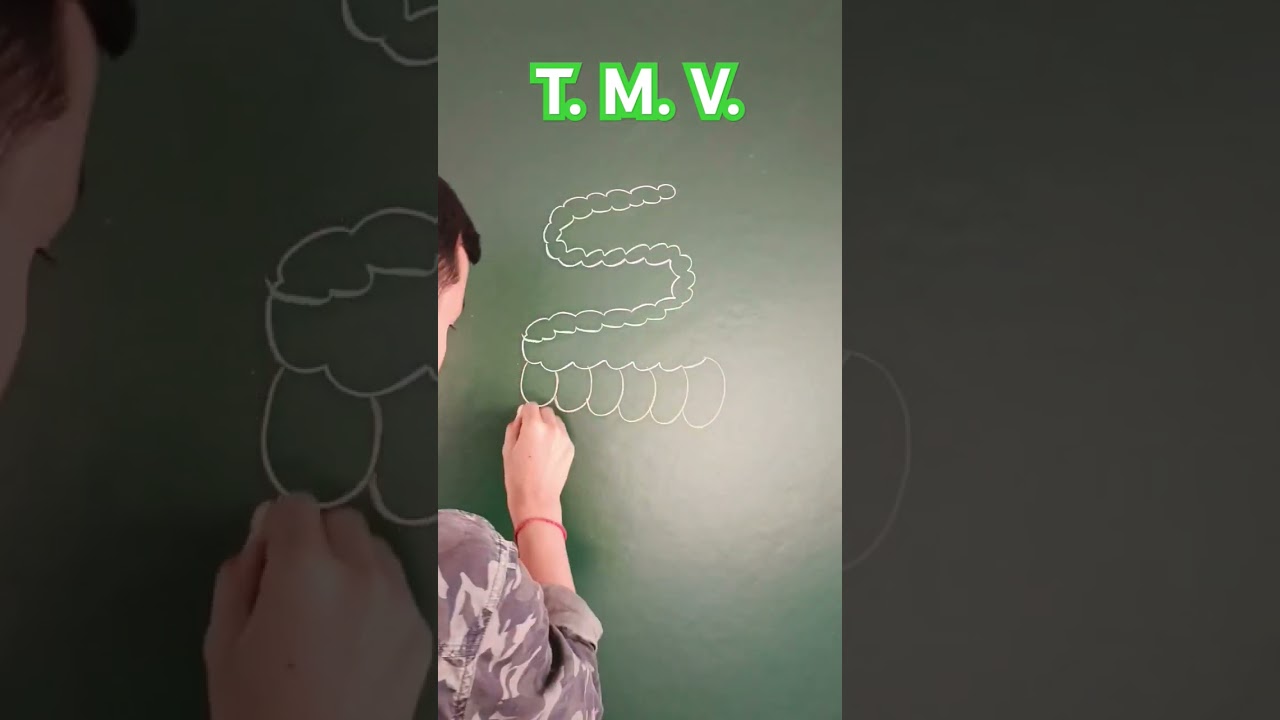 T.M.V. Diagram | Tobacco Mosaic Virus | #tmv #tobacco #biologyclass12 #titanclasses #biologydiagrams