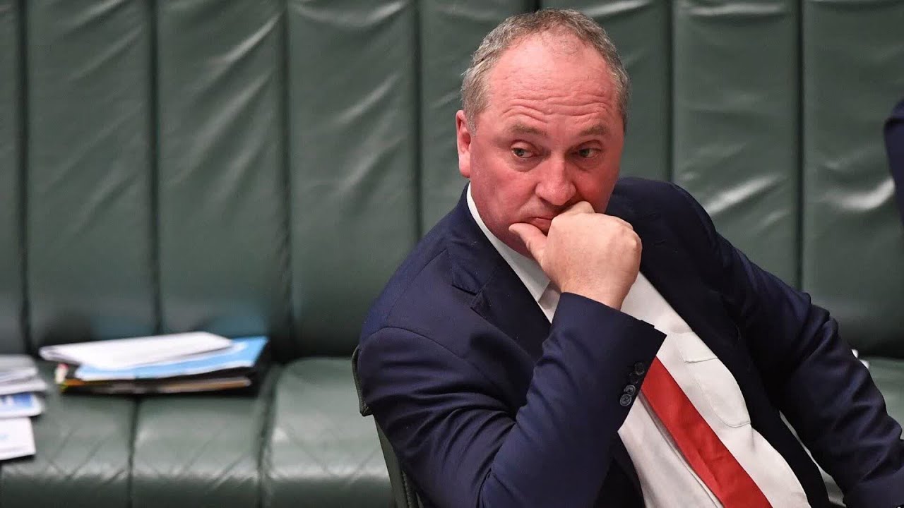 ‘The options’: Questions over Barnaby Joyce defecting to One Nation