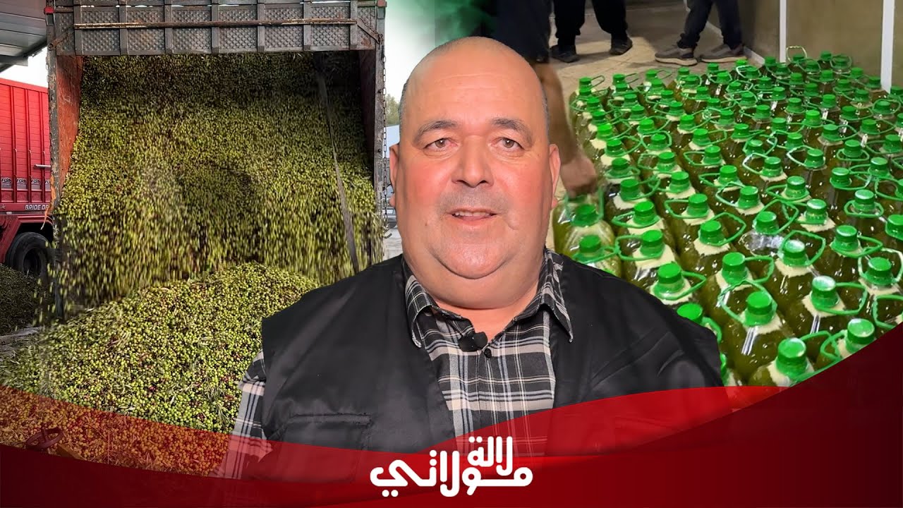حقيقة صادمة عن زيت الزيتون.. بائع يكشف السعر الحقيقي 35 درهم وكيف تعرف الزيت المغشوش