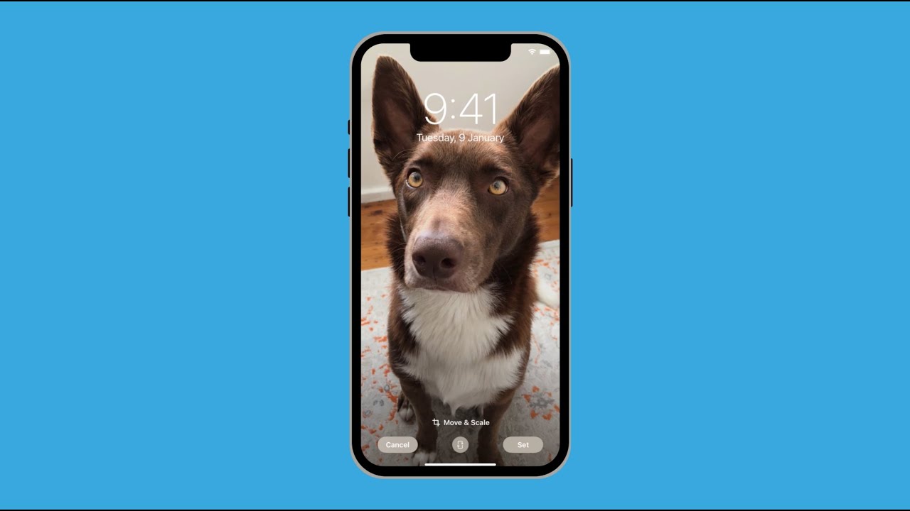 iPhone: Personalising your phone with a photo