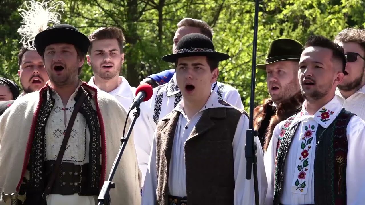 Ansamblul ICOANE – Cântă cucu sus pă vie; Bătrâna, ȚINUTUL PĂDURENILOR, HUNEDOARA