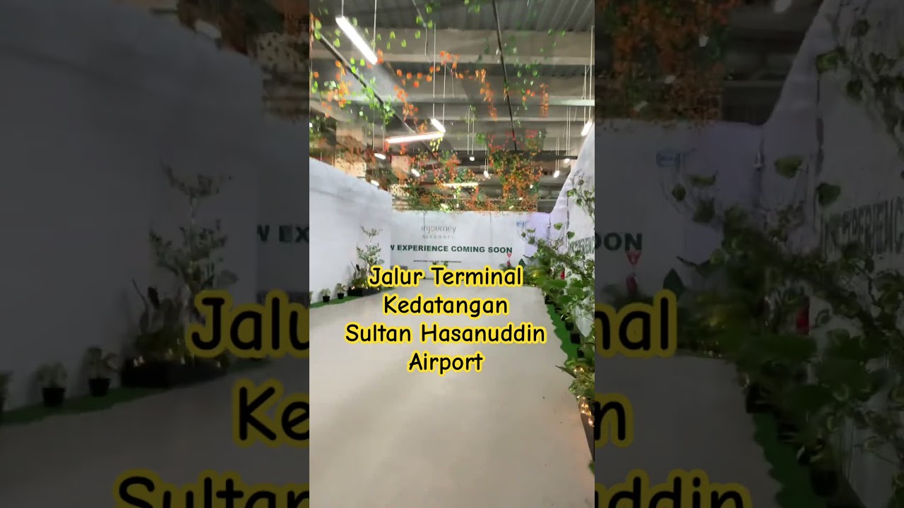 #shortvideo