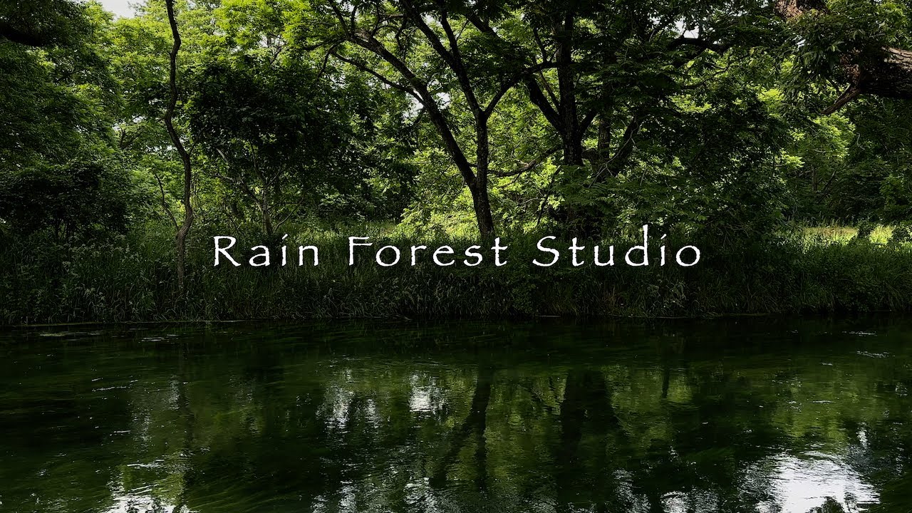 Azumino's Foliage Flow [4K]