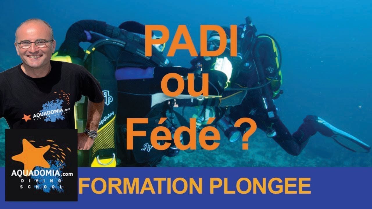 Passer PADI ou F&eacute;d&eacute;ration ? Peu importe... Choisir sa formation plong&eacute;e sous-marine.