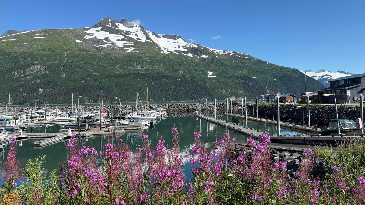 North to Alaska. Our Alaskan adventure 