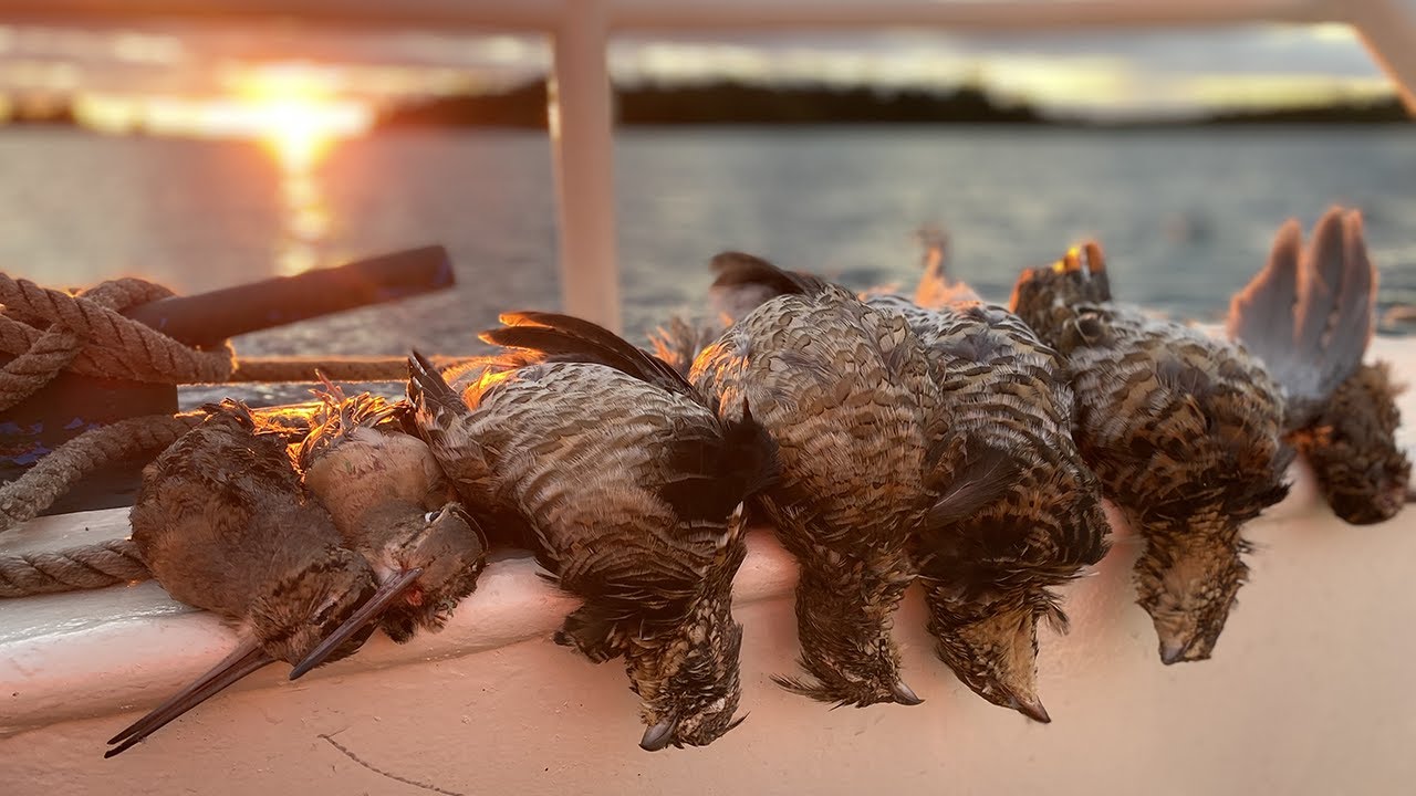 Hunting Great Lakes Grouse & Woodcock on Michigan's Beaver Island | The Flush: Season 11, Episode 3
