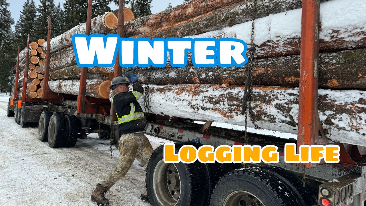 🇵🇭🇨🇦A Typical Day In The Life Of A Logging Truck Driver In The Winter|Logging Truck|Truck Driving