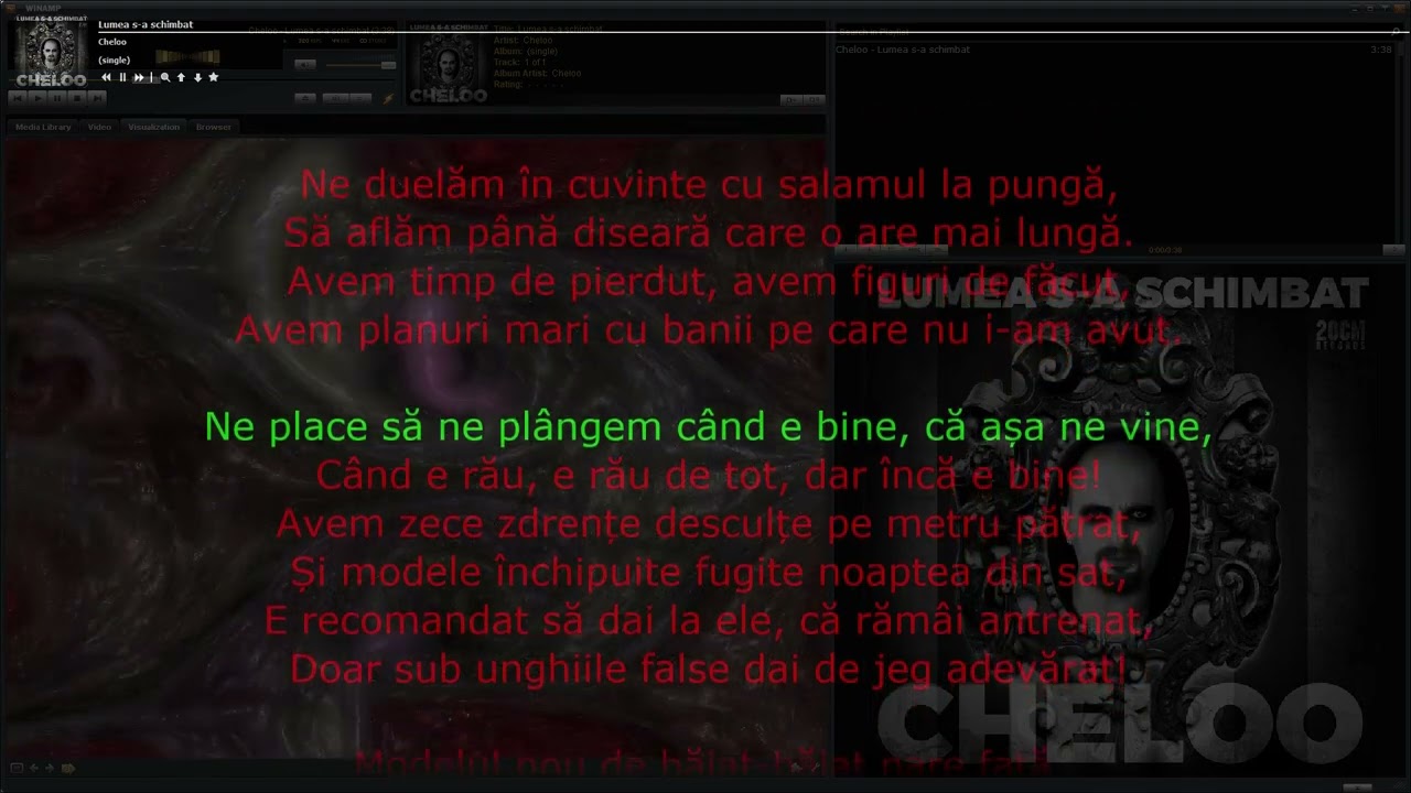 Cheloo &ndash; Lumea s-a schimbat &bull; melodia cu versuri sincronizate/karaoke