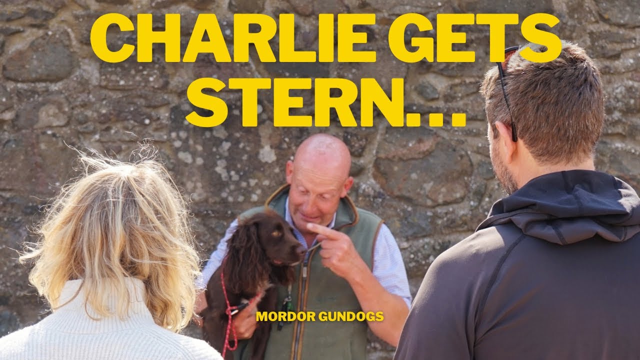 Collecting A Dog After It's Been Sent To Behavioural BOARDING SCHOOL
