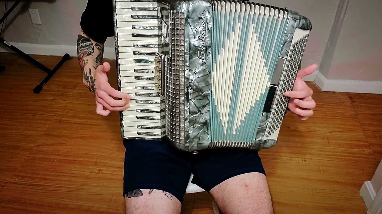Mr. Blue Sky | Accordion