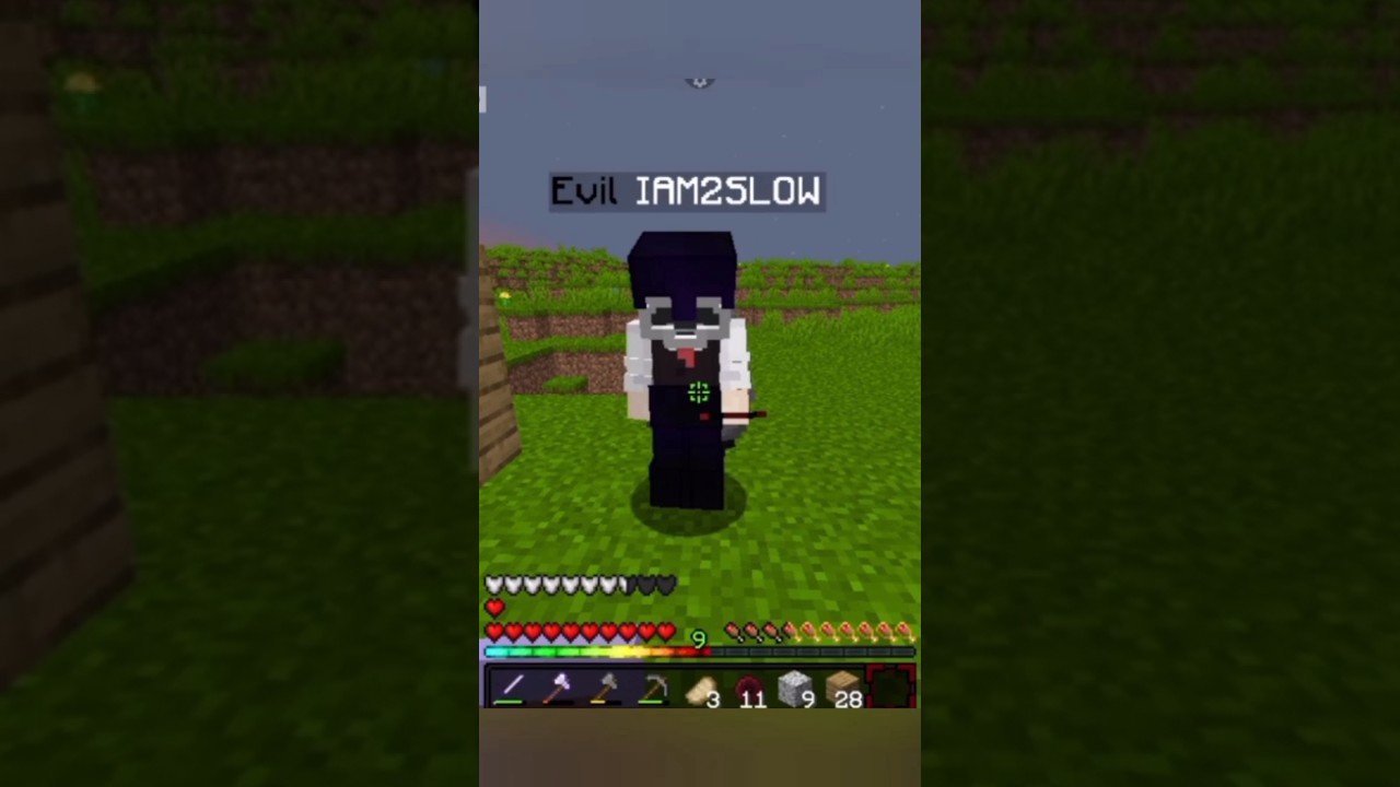 my new gang in Minecraft smp