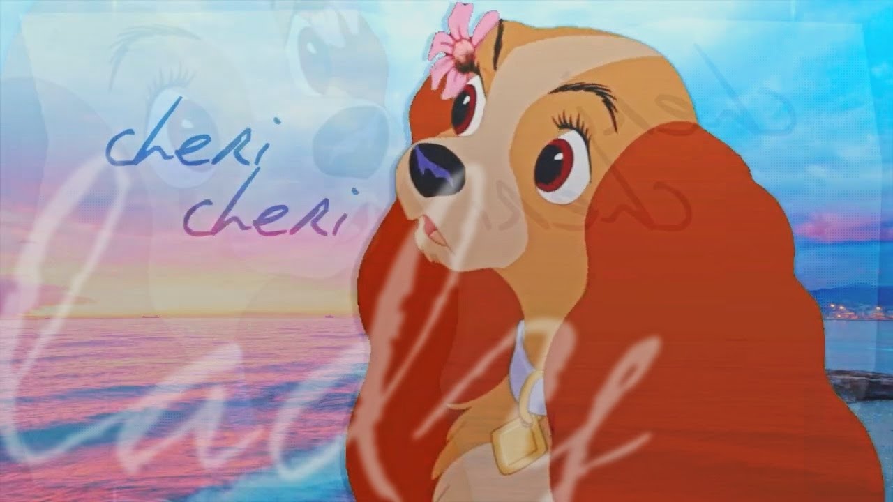 「RHS」 Cheri Cheri Lady | MEP