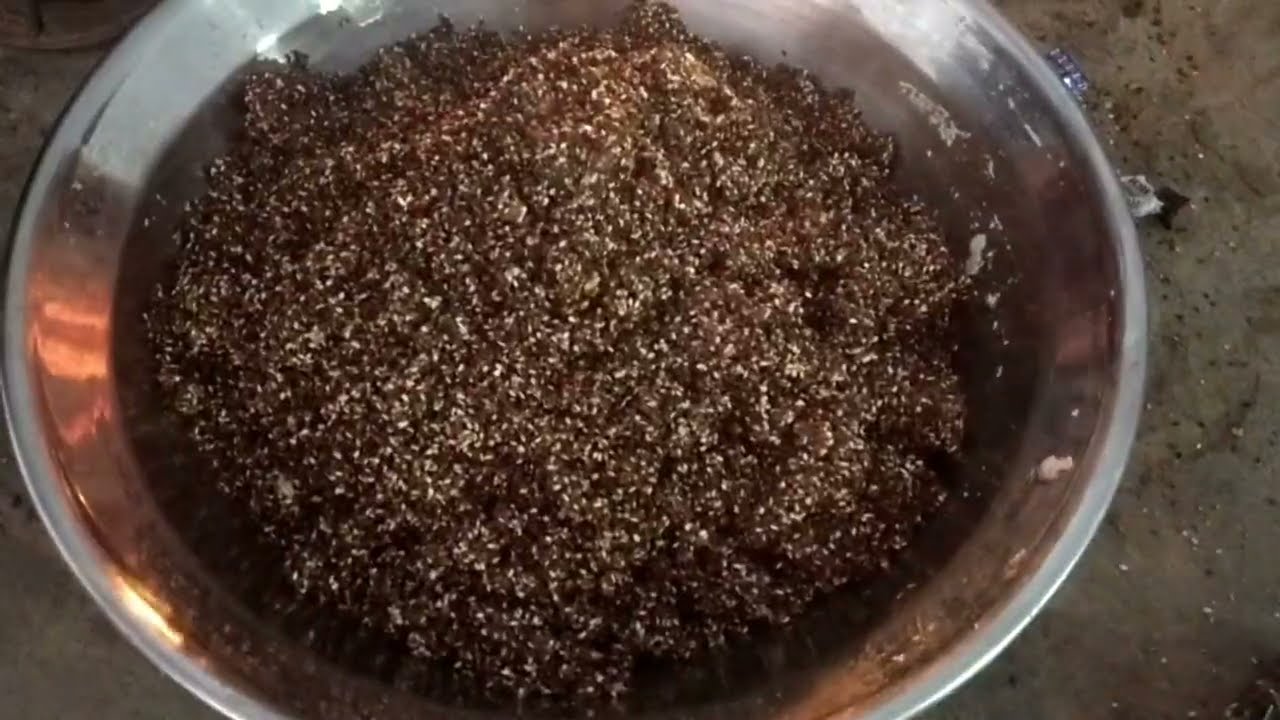 Kale til ke laddu Kaise banaen/ Bajar Se til ke laddu Banane kaise parhez karen Apne Ghar per banaen