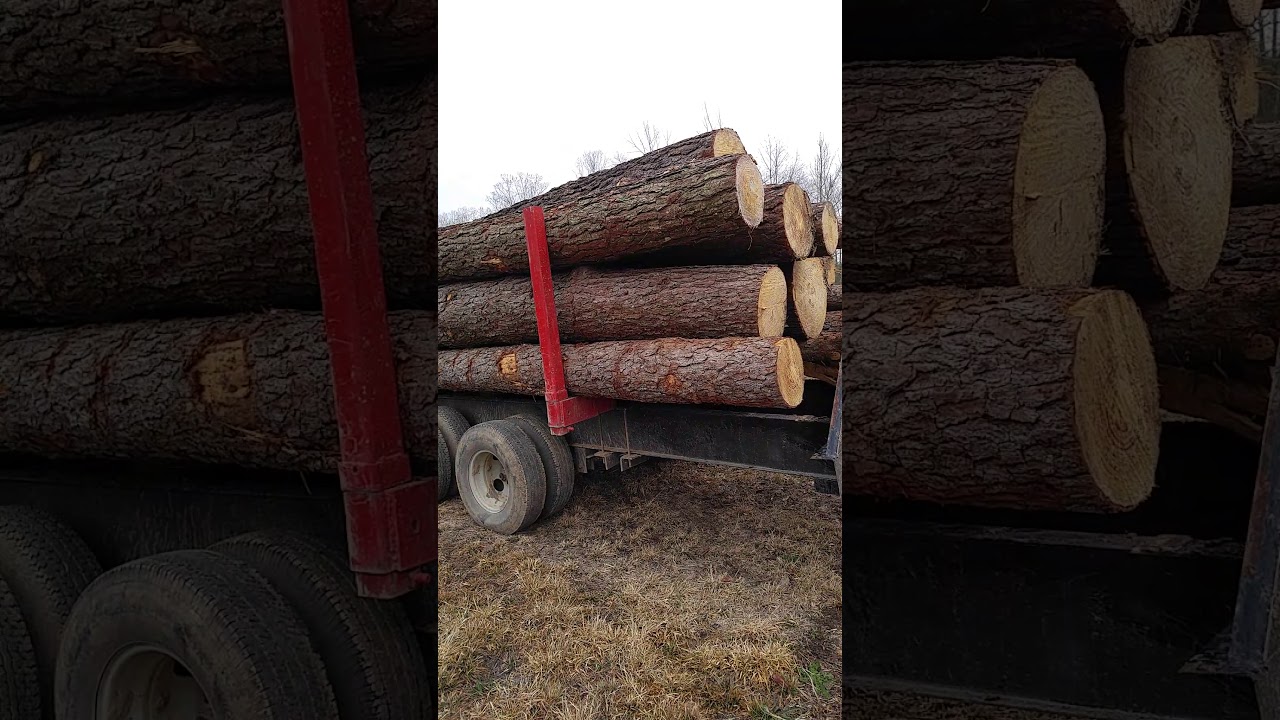 PJ gooseneck log trailer