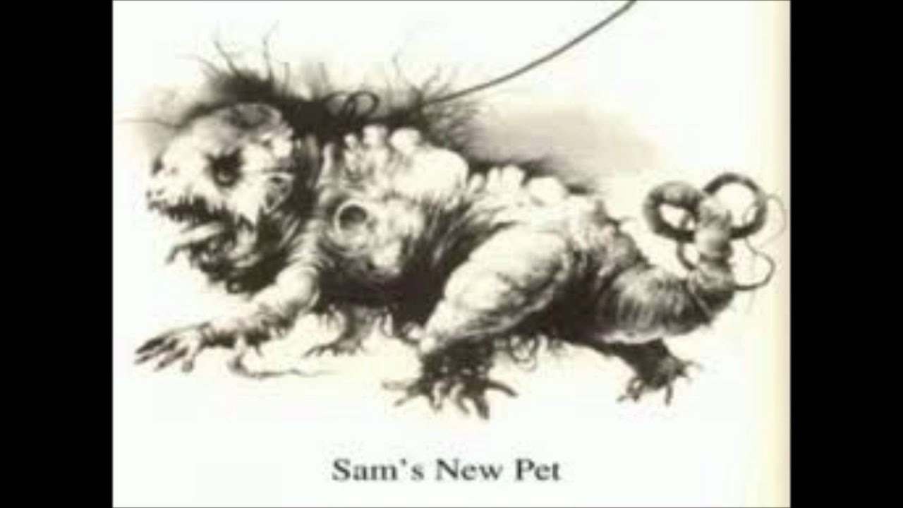 SCARY STORY SAM'S NEW PET