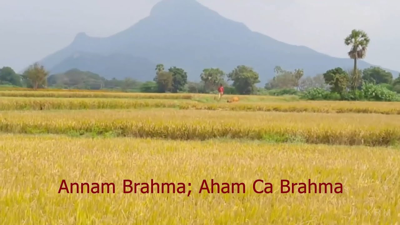 Seed Of  Prana - Annam Brahma; Aham Ca Brahma