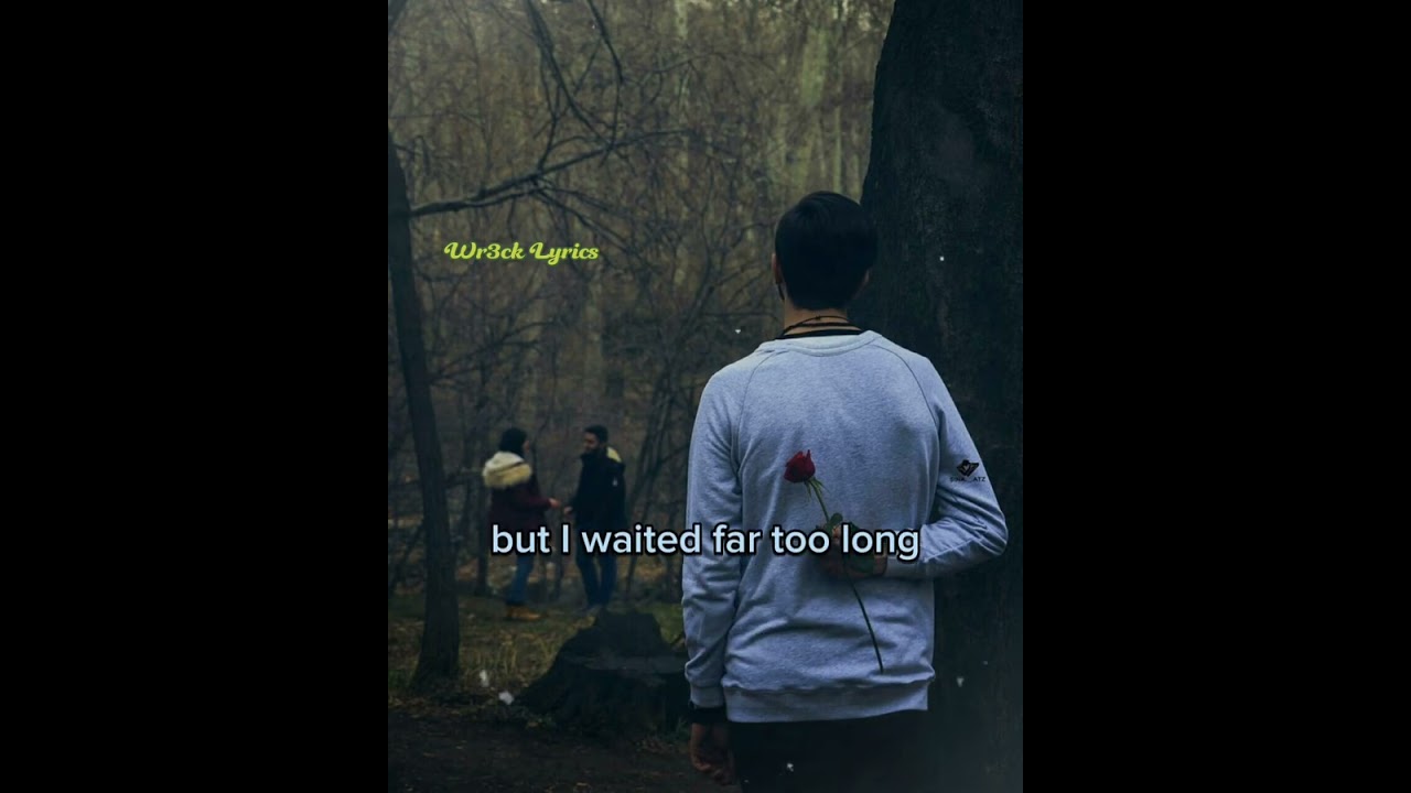 I Just Wasn't Brave Enough-Alamid (Lyrics)