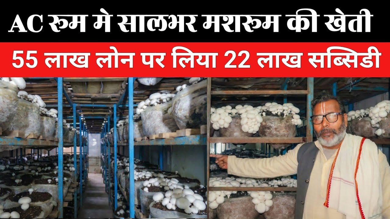 ₹55 लाख का AC Mushroom Farm से 5 लाख कमाई | 12 महीने मशरूम का उत्पादन | 22 लाख मिली सब्सिडी