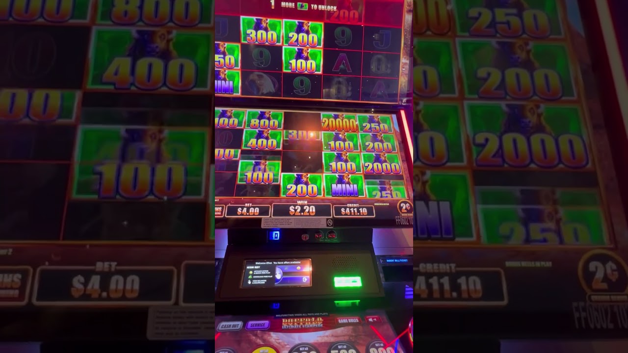 2c low bet with instant $400 win @ Buffalo Stampede slot games