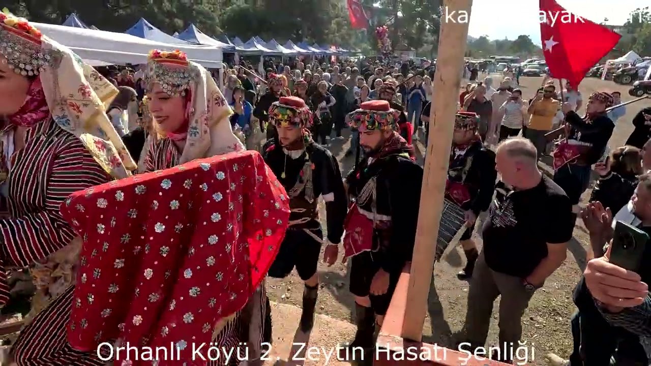 Orhanlı Köyü, 2. Zeytin Hasatı Şenliği