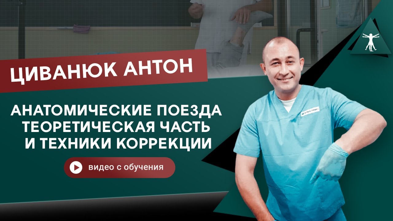 Анатомические поезда. Теоретическая часть и техники коррекции. Циванюк Антон Владимирович