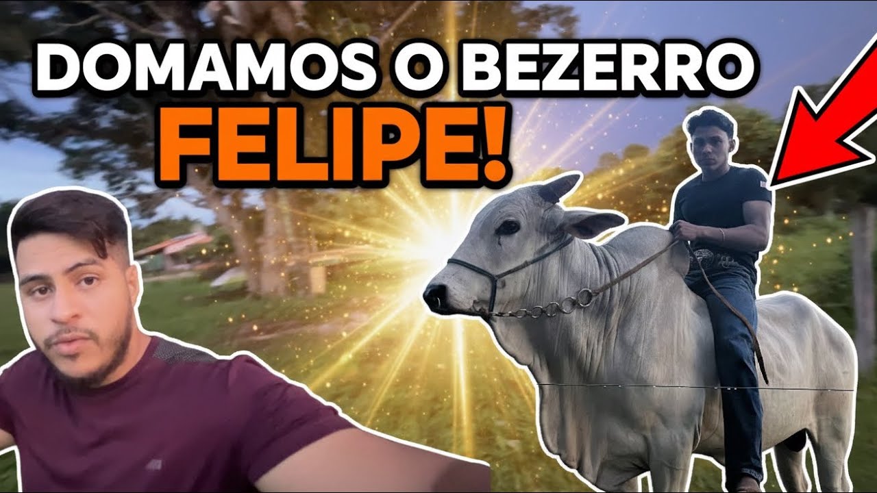 ENCONTRAMOS UMA MINA DE OURO NA ROÇA E QUASE DEU RUIM NA DOMA! 🎯