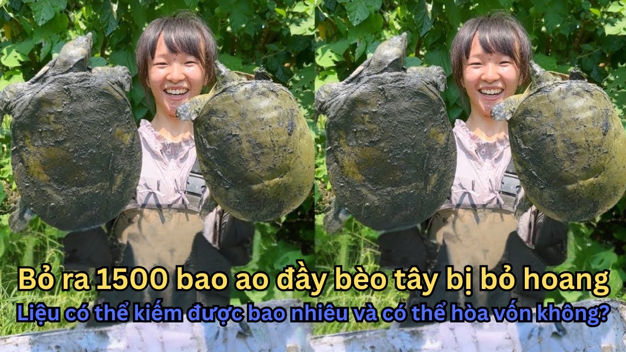 Chi 1500 Tệ Bao Ao Bèo Tây Bỏ Hoang và Cuộc Chiến Tìm Kiếm 