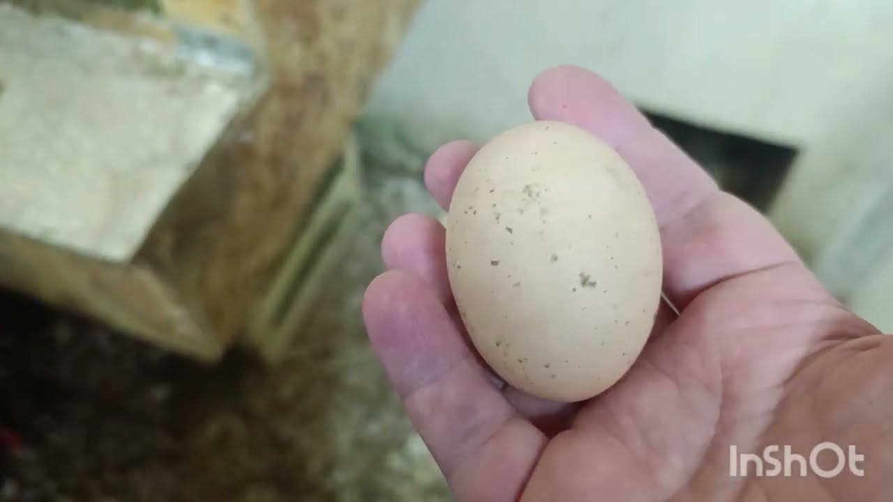 Отличная новость 👍🥳и плохая новость 😔.