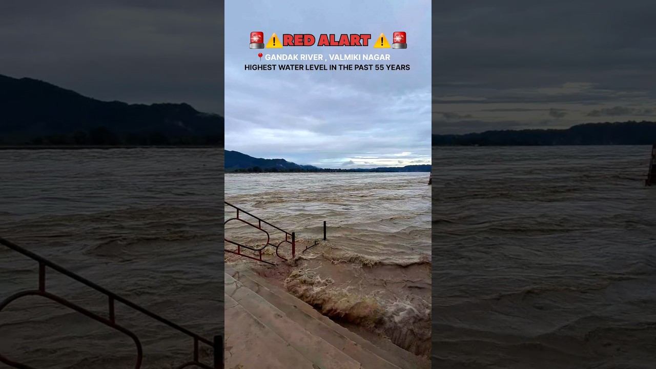 🚨⚠️RED ALERT ⚠️🚨 | GANDAK RIVER | VALMIKI TIGER RESERVE | Highest water level | Bihar Flood