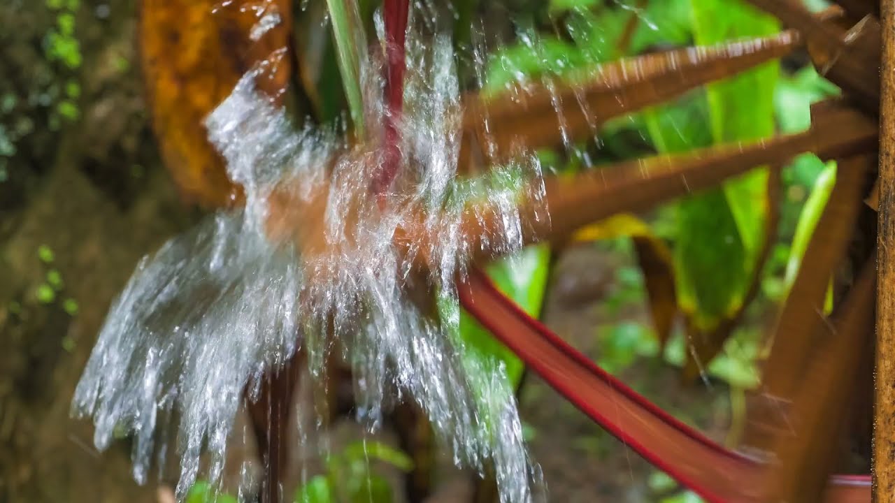 Sleep Hypnosis Watermill ASMR (Deep Relaxation, Meditation for Stress Relief, Increase Mind Power)