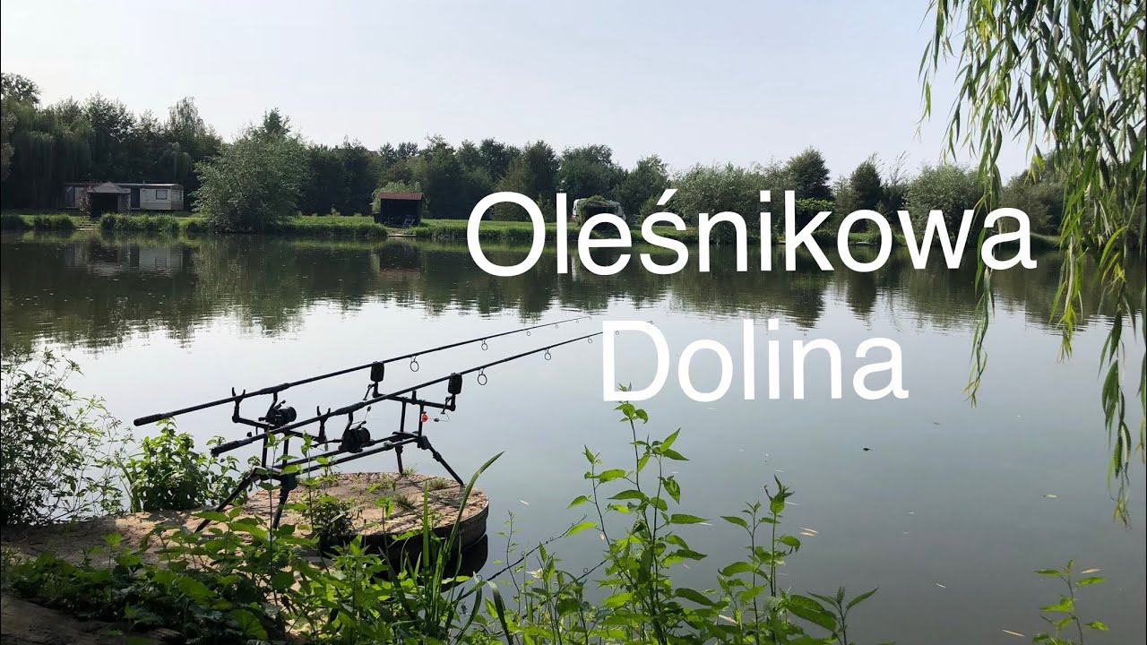 Karpiowy Trening. Testowanie ZIG-RIG' a | Oleśnikowa Dolina | Fishing Show
