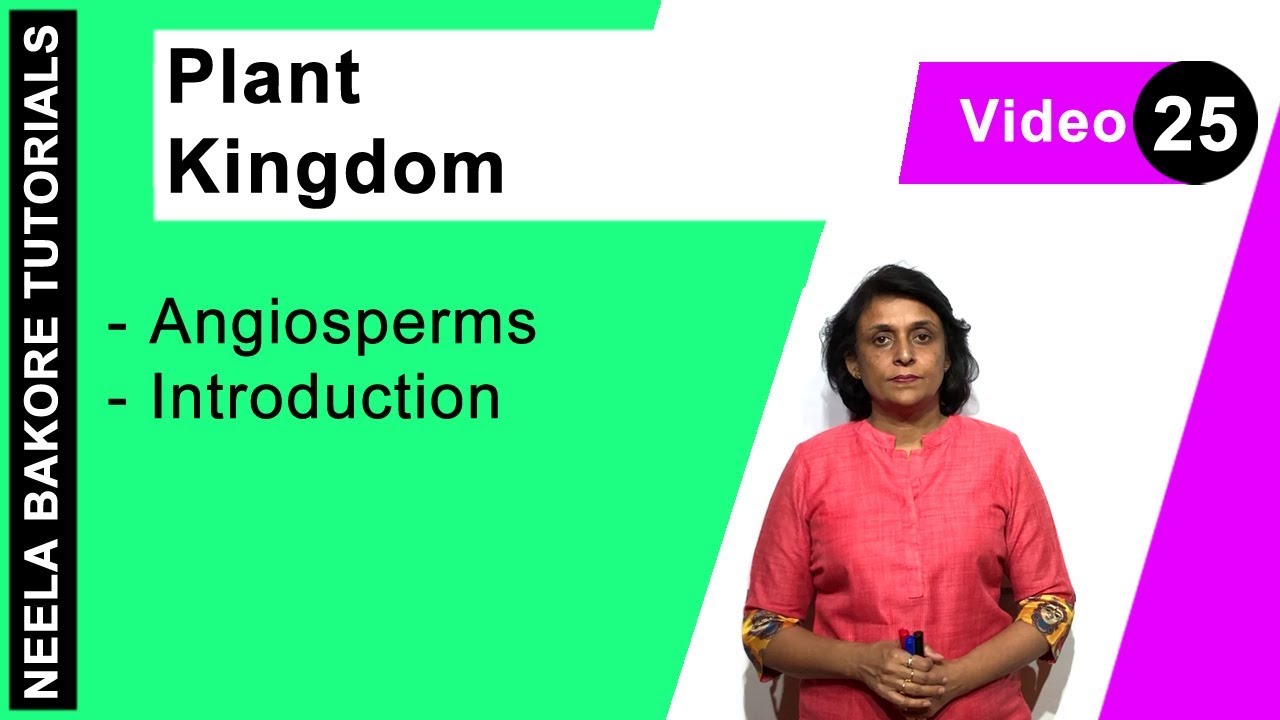 Plant Kingdom | NEET | Angiosperms - Introduction | Neela Bakore Tutorials