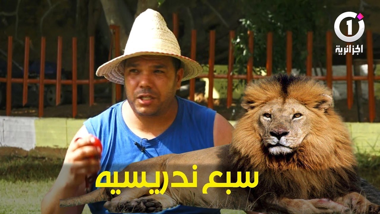 أحسن مدرب الكلاب في الجزائر 