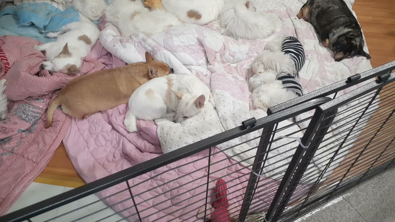 비오는 화요일...노래하나^^~