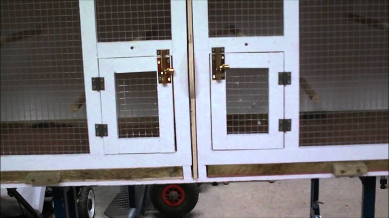 Building Budgie Breeding Cages