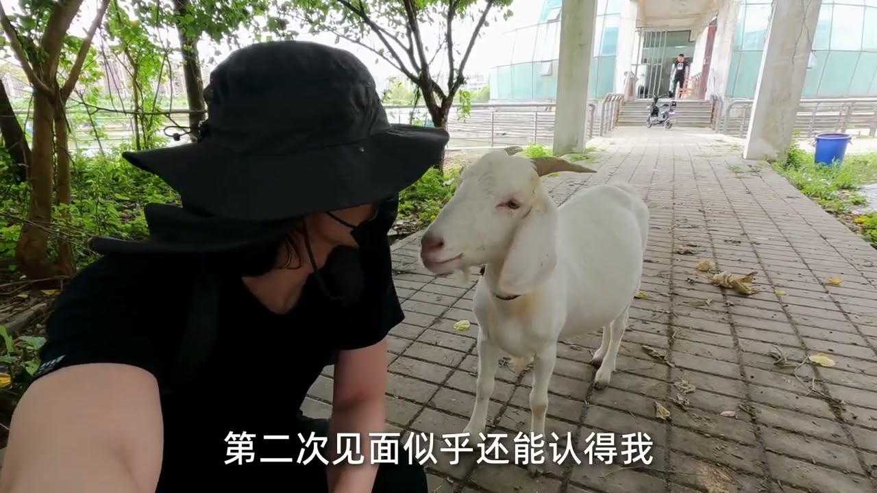 【404】上海复旦大学太平洋金融学院。