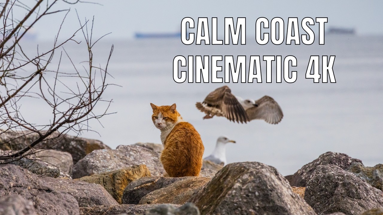 Peaceful Moments at Dragos Coast | Istanbul 4K (Canon R8 Cinematic)