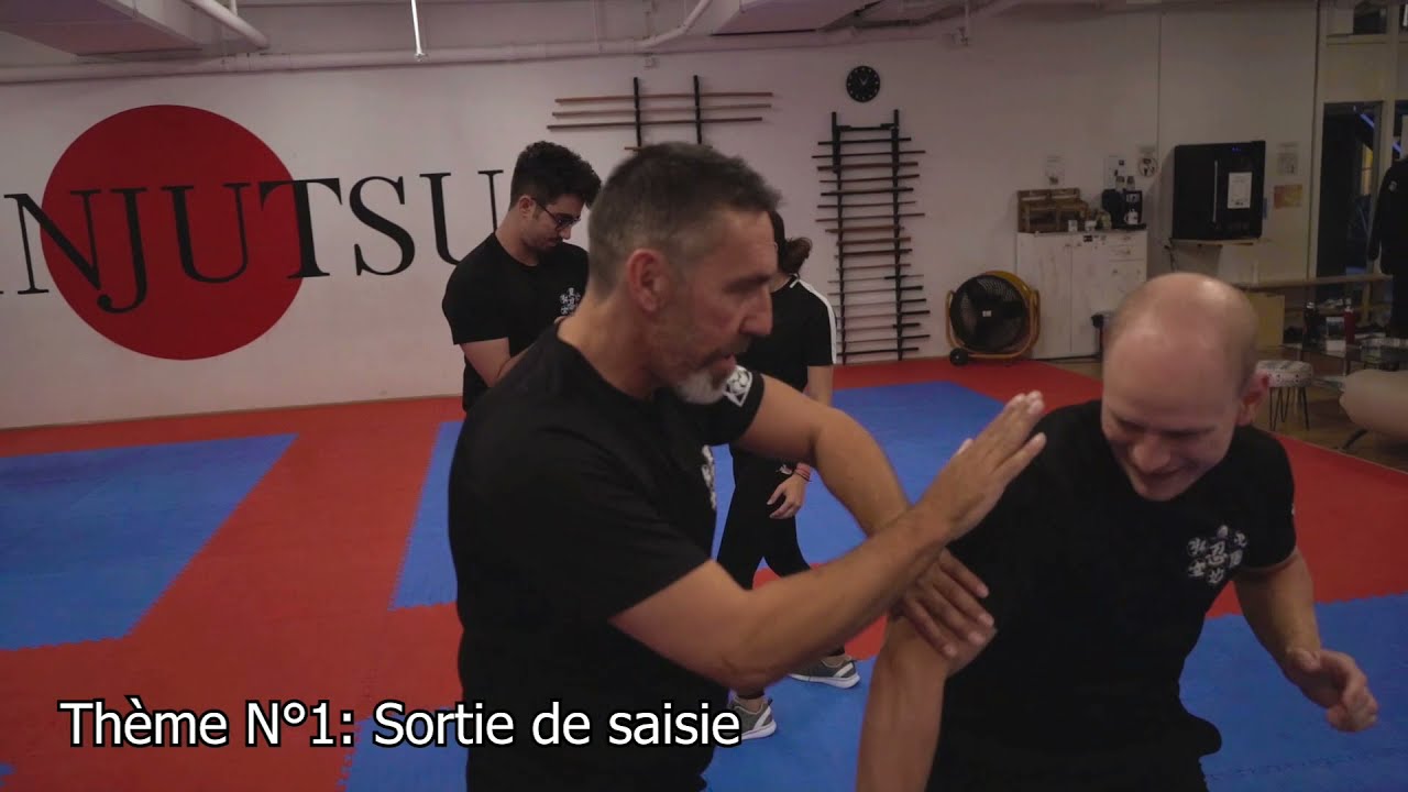 Ninjutsu (Les 12 thématiques)