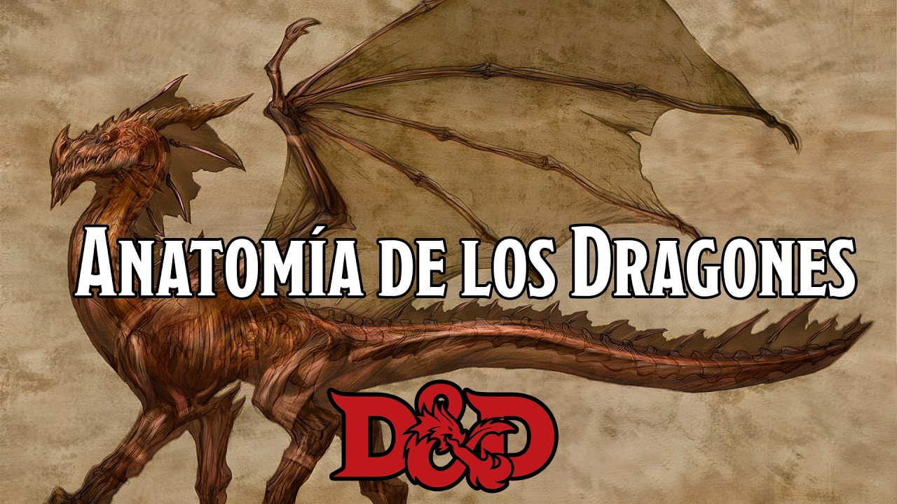 La Anatomía de los Dragones y el Secreto de su Poder